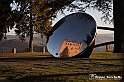 VBS_9842 - La Morra, Barolo, Grinzane Cavour, Pollenzo